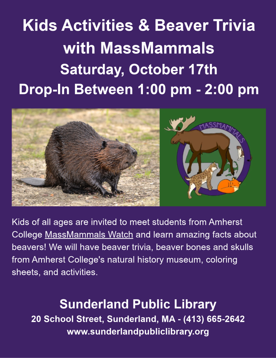 MassMammals-at-SPL